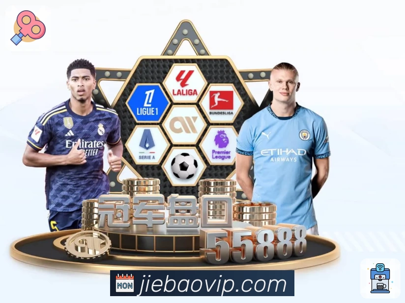 体育平台欢迎图